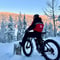 Levi Wilderness E-Fatbike Tour with Campfire, 3-4 hrs