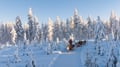 Snowy Forest Reindeer Ride in Rovaniemi