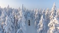 Snowy Forest Reindeer Ride in Rovaniemi
