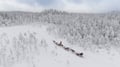 Snowy Forest Reindeer Ride in Rovaniemi