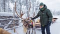 Snowy Forest Reindeer Ride in Rovaniemi