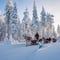Snowy Forest Reindeer Ride in Rovaniemi