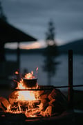 Food fire cooking lake pallas