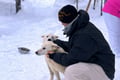 Husky Safari 5-6 km Self-Drive in a Hidden Forest Kennel, Levi