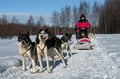 Husky Safari 5-6 km Self-Drive in a Hidden Forest Kennel, Levi
