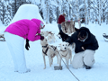 Husky Safari 5-6 km Self-Drive in a Hidden Forest Kennel, Levi