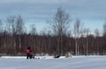 Husky Safari 5-6 km Self-Drive in a Hidden Forest Kennel, Levi