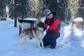 Husky Safari 5-6 km Self-Drive in a Hidden Forest Kennel, Levi