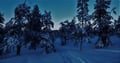 The Aurora Trail (Family friendly)