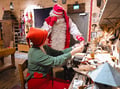 Meet Santa Claus at Elves Village, Levi — private family visit
