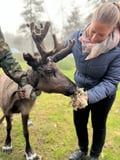 Reindeer Farm Visit & Wilderness Fell Adventure