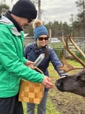 Reindeer Farm Visit & Wilderness Fell Adventure