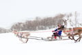 Private - Visit Sami People And Spend A Day Reindeer Herding From Levi (By request)