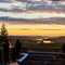 Rovaniemi: Insider Summer Bird Watching Experience