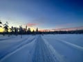 THE SMALL MUSHER with Real Huskies (5km husky ride)