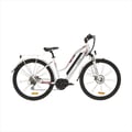 Trekking E-Bike Rental in Levi
