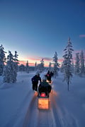 Northern Lights Snowmobile Adventure