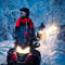 Northern Lights Snowmobile Tour