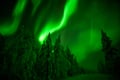 Northern Lights in Lapland