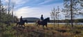 Siberian Jay's Way – Horseback trail ride