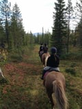 Siberian Jay's Way – Horseback trail ride