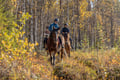Siberian Jay's Way – Horseback trail ride