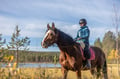 Siberian Jay's Way – Horseback trail ride
