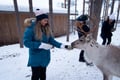 400m REINDEER SLEIGH RIDE ON A TRADITIONAL FARM + EXCURSION WITH BBQ IN VIKAKÖNGÄS