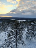 400m REINDEER SLEIGH RIDE ON A TRADITIONAL FARM + EXCURSION WITH BBQ IN VIKAKÖNGÄS
