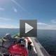 Helsinki Shore Excursion: Private 2-hour Helsinki Archipelago High-speed RIB Boat Cruise