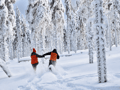 Snowshoeing tour with Wild Lunch