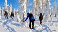 Snowshoeing tour with Wild Lunch