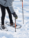 Snowshoeing tour with Wild Lunch