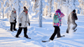 Snowshoeing tour with Wild Lunch