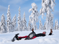 Snowshoeing tour with Wild Lunch