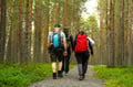 Arctic Wilderness Hike (Midnight Sun/ Sunset)