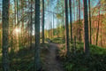 Arctic Wilderness Hike