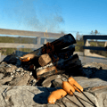 Reindeer, Berries & Fire: An Authentic Lapland Nature Experience