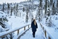 Korouoma Canyon & Frozen Waterfalls - Private Tour