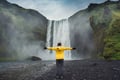 Private South Coast Tour from Reykjavik in Multi-Language Guide Options
