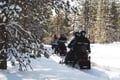 Snowmobile Safari into the Arctic Circle Forest