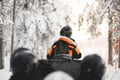 Snowmobile Safari into the Arctic Circle Forest