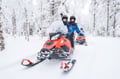 Snowmobile Safari into the Arctic Circle Forest