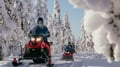 Snowmobile Safari into the Arctic Circle Forest