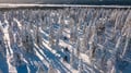 Snowmobile Safari into the Arctic Circle Forest