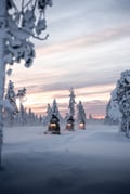 Snowmobile tour safari snow lapland winter forest sport