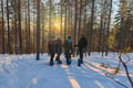 Wilderness Snowshoeing with a Campfire Stop in a Private Hut, Levi