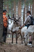 Reindeer Handicraft Workshop