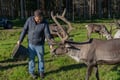 Authentic Reindeer Farm & Ranua Wildlife Park