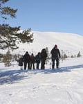 SNOWSHOEING IN NATIONAL PARK